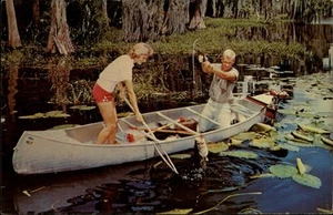 Palatka,FL Florida Fishing Putnam County Florida Postcard - Picture 1 of 2