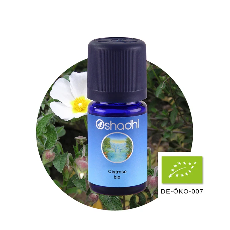 Oshadhi Cistrose bio 1ml ätherisches Öl naturreine Qualität