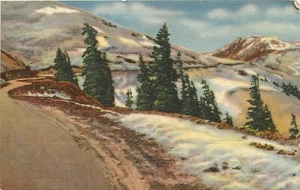 Timberline Rockies Colorado CO pm 1948 Postcard - Picture 1 of 2