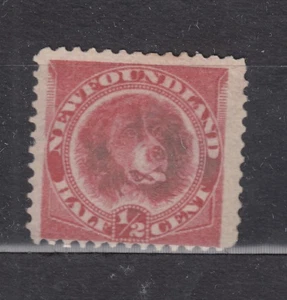 1887-98 NEWFOUNDLAND #56 1/2¢ NEWFOUNDLAND DOG 1887-1898  ISSUE F+ - Picture 1 of 2