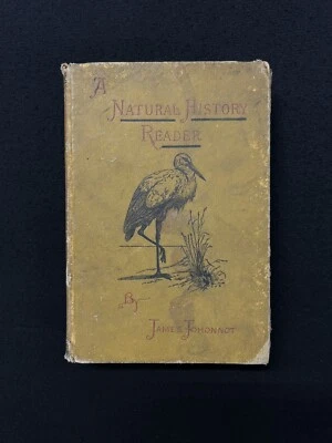 James Johonnot A NATURAL HISTORY READER 1884 D. Appleton VTG textbk - Image 1 of 4