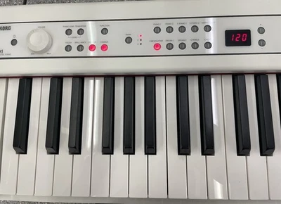 Piano digital Korg D1 88 teclas con pedal y cable de instrumento. Foto 1 de 4