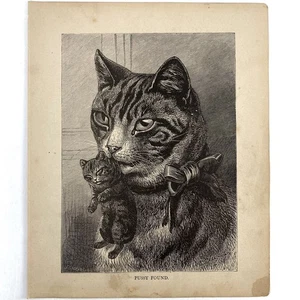 Antik 1879 Gravur Mutter Katze trägt Kätzchen Schleife alt 1800’er Kunst Muschi gefunden - Bild 1 von 3