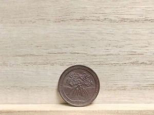 2020 P Salt River Bay US Quarter Error Missing Clad (5.7g, 24mm, 2mm Thick) - Picture 1 of 10