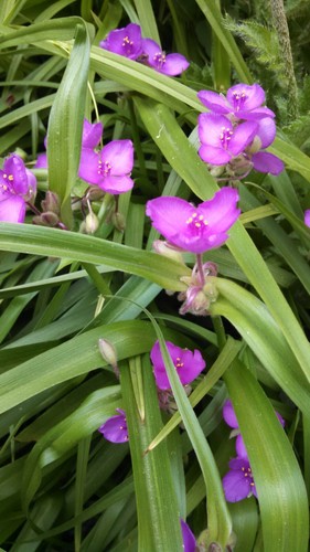 Picture 1 of 6