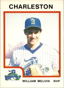 B6089- 1987 Procards Minor League Baseball Cards6 -du Pick- 15 + Gratis US - Bild 1 von 419