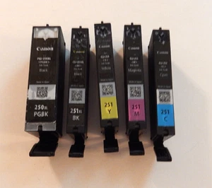 EMPTY Genuine CANON PIXMA printer cartridges for refill,Set of 5: 250 & four 251 - Picture 1 of 2