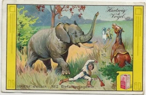 8/900 SAMMELBILD - ELEFANTEN JAGD IN AFRIKA KOLONIEN ? JÄGER GEWEHR PFERD - Bild 1 von 2