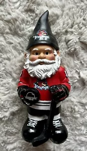 AHL Rockford IceHogs Lawn Garden Gnome - Picture 1 of 7