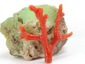 Natural Red Coral Polished Rough Stick For Jewelry Making 36X4MM - Picture 1 of 8