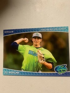 Eli Morgan 2018 Lynchburg Hill Cats Team Card