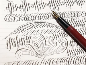 Scholar Zebra G comic nib Fountain Pen - Picture 1 of 13