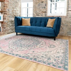 Pink Medallion Rug Blue Bordered Traditional Indoor Bedroom Living Room Runners - Picture 1 of 18