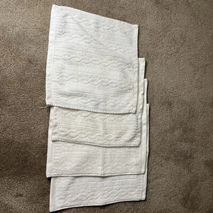 4 Bloom 100% Hydro Cotton White Washcloths India RN 108359 Welspun Preowned - Picture 1 of 3