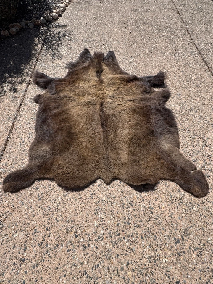 Bison Buffalo Hide Fur Rug Wall Hanging. Premium - Image 1 of 4