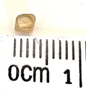 Genuine Aust. Argyle 0.20 Ct. Champagne Colour Partly Polished Rough Diamond - Picture 1 of 7