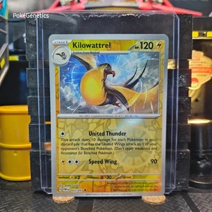 Kilowattrel Paldean Fates Reverse Holo Pokémon TCG 022/091 Scarlet & Violet - Bild 1 von 6