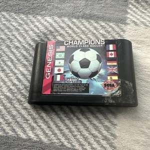 Champions World Class Soccer (Sega Genesis, 1993) CART ONLY - Picture 1 of 3