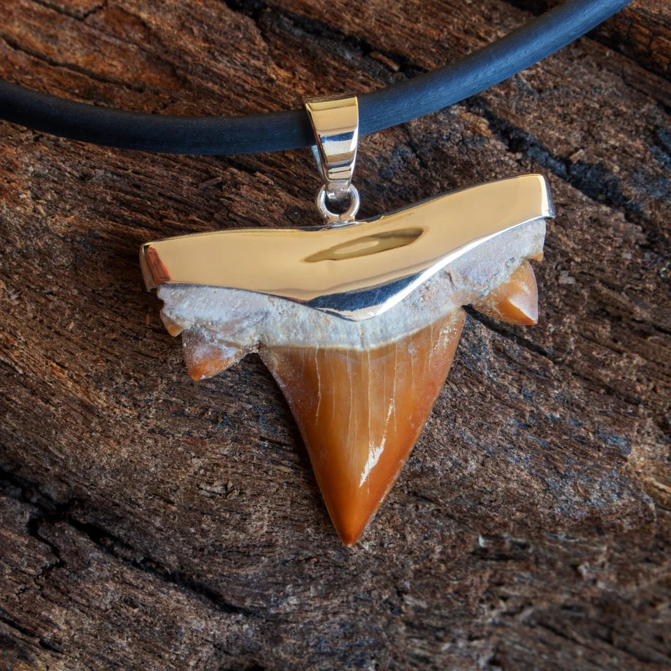 Haizahn Fossil 925er Silber Ketten Anhänger Haifischzahn Surfer Herren Damen - Bild 1 von 4