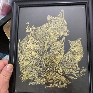 Wolf Picture - Picture 1 of 1