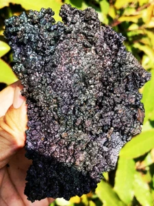 399g Natural Fantastic 7 Color Chalcopyrite Iron Pyrite Specimen ip1530 - Bild 1 von 12