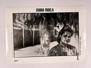 Chaba Fadela Photo Original Black And White Island Records Promo - Picture 1 of 12