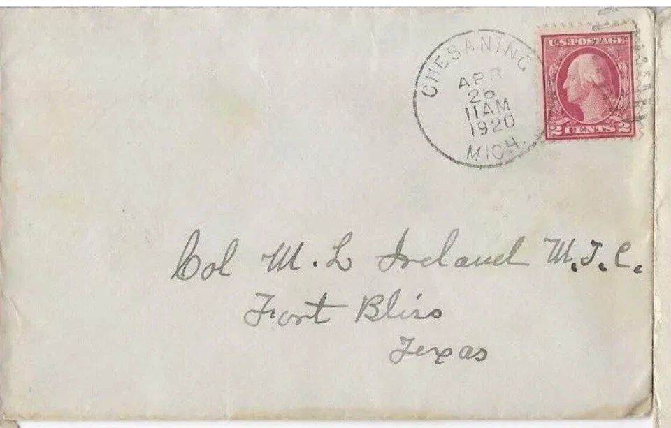 Chesaning, Michigan, Saginaw County (1853-Date) 1920 Duplex Cancel - Image 1 of 1
