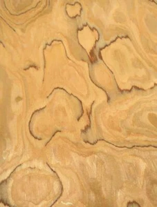 Chapa de madera de oliva silvestre SaRaiFo chapa de madera de olivo 250x65 cm - Imagen 1 de 10