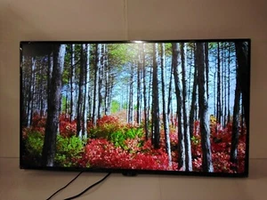 LG Electronics 43BN70U-B 43 inch IPS UHD 4K 1000:1 8ms 4HDMI/DisplayPort/USB - Picture 1 of 10