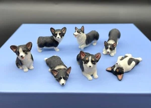 Miniature Corgis. Black and White Corgi Puppy Dog. 1:12 Scale Model - Picture 1 of 8