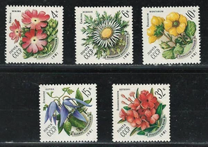 RUSSIA USSR CCCP 1981 VF MNH Stamps Set Scott # 4943-4947 Flowers - Picture 1 of 1