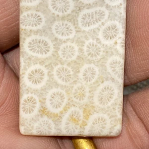 16g Incredibile Ciondolo Cristallo Naturale 16g Fiori di Corallo Corallite Diaspro - Foto 1 di 9