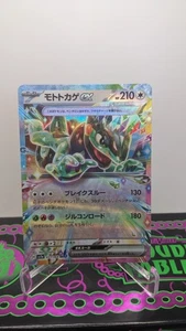 Cyclizar ex 051/064 Sv7a: Paradise Dragona NM Holo Double Rare Japanese  Pokemon - Picture 1 of 3