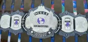 UNDERTAKER 30 YEARS "SIGNATURE SERIES" CHAMPIONSHIP REPLICA TITLE BELT 2MM BRASS - Picture 1 of 5