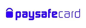 Paysafecard 100 € !!! NEU !!! - Bild 1 von 1
