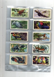 TROPICAL BIRDS FULL ALBUM + FULL SET SLEEVED CARDS ISSUED  BROOKE BOND 1961 VG - Picture 1 of 2
