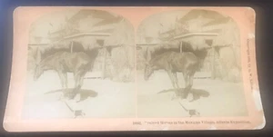 Atlanta Cotton Exposition 1895 Kilburn Stereoview #10642 Trained Horse Mexican - Picture 1 of 4