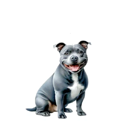 Único GRIS GRIS PITBULL PERRO MASCOTA ANIMAL Colgante Plata 925 20" 22" Cadena Foto 1 de 4