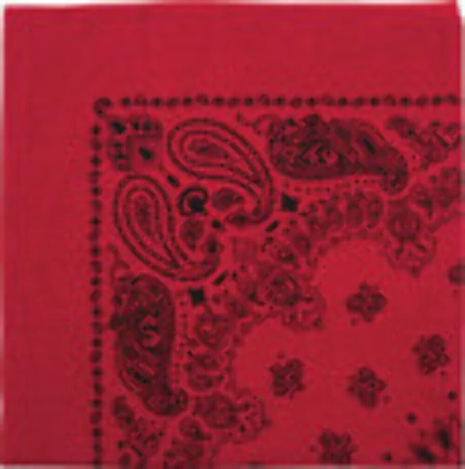 Bandana de cachemira Rothco Trainmen - 22" X 22" - roja con estampado negro Foto 1 de 1