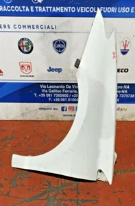 Repuesto Utiliza, Guardabarros Delantero Izquierdo Renault Laguna (2012) - Imagen 1 de 4