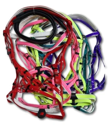 Horse Bridle- PVC Bridle with Rubber Reins White Padding - Image 1 of 4