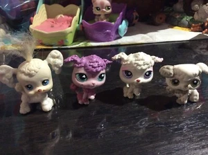LPS Littlest Pet Shop Poodle dog litter pre- LOVED set early 2000's Vintage Toys - Picture 1 of 7