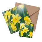 1 x Greeting Card & Coaster Set - Daffodil Flower Field Easter #14350