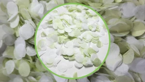 Biodegradable Wedding Tissue Paper Confetti - Willow Green and White - Picture 1 of 6
