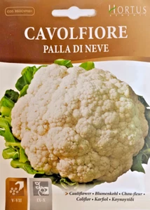 COLIFLOR BOLA DE NIEVE en bolsa termosellada - Imagen 1 de 1