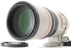 Canon EF 300mm f/4 L IS USM Telephoto Prime Lens Working