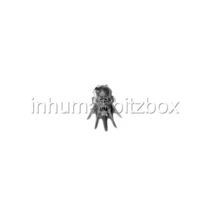 BLOO11 TETE BLOODREAVER CHAOS WARHAMMER FANTASY BATTLE AoS BITZ 69 - Imagen 1 de 1