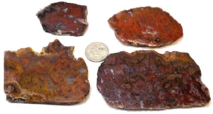 4 Rad Red Jaspers California Total 7.6 Ounces Free Shipping 1st Pic Wet #3611 - Picture 1 of 4