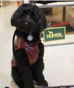 Hunter Tampere Waterproof Puffa Coat Zip Harness Access Puppy/Dog Red 40/16”