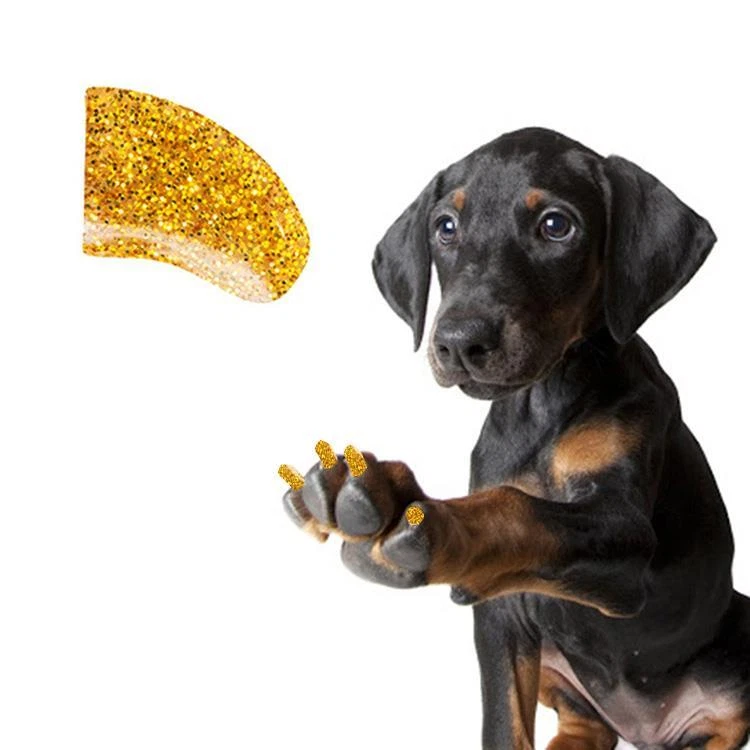 24k GOLD GLITTER ~ 60 PIECE Soft Nail Caps for Dog Claws ~ PRETTY CLAWS ~ Paws